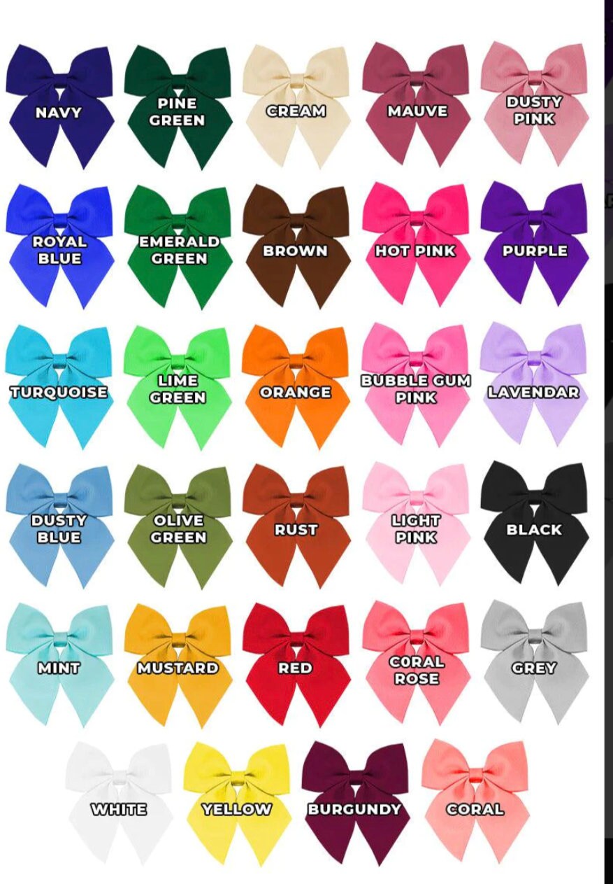 Hair Bows 3"